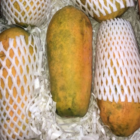 بابايا تايلندي (حبة)