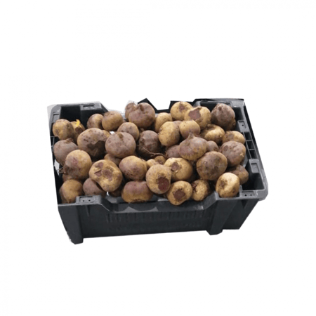 شمندر (14 كجم)