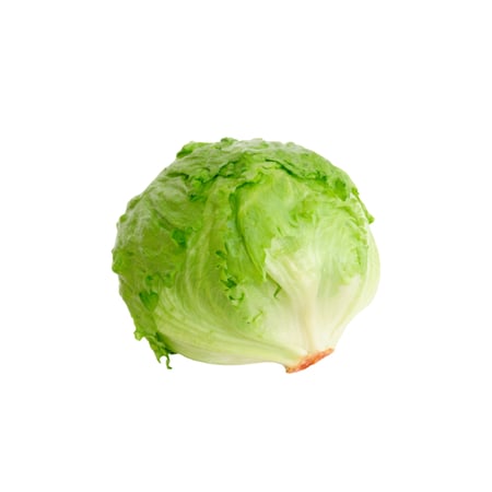 خس مدور مستورد (حبة)