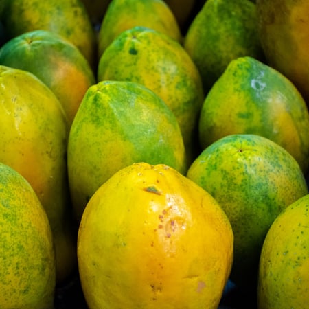 بابايا (8 كجم)