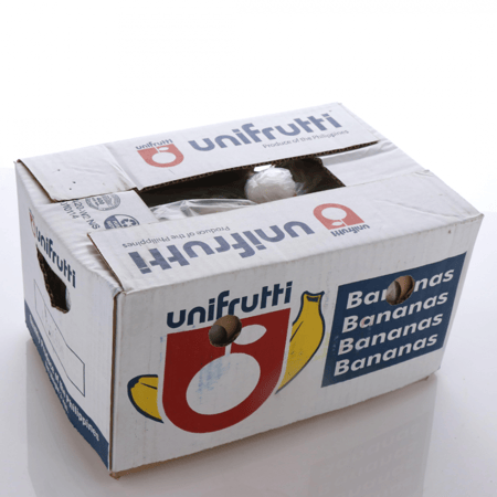 موز كبير (13 كجم)