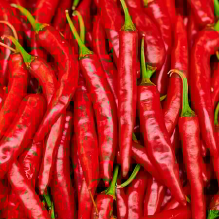 فلفل أحمر حار طويل (6 كجم)