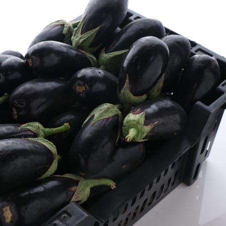 باذنجان أسود وسط (8 كجم)