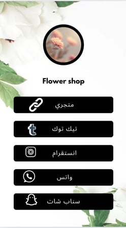 خدمه انشاء Link Bio