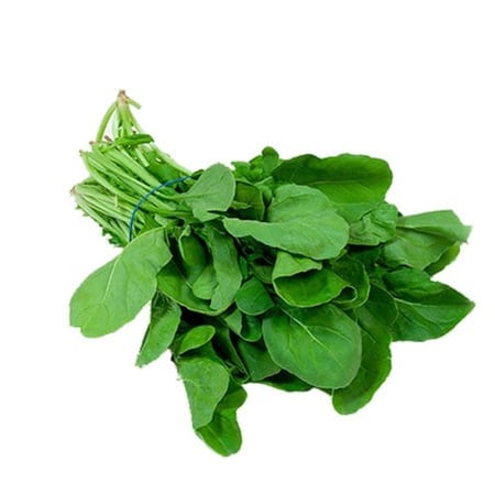 الجرجير العضوي غني بالفيتامينات والمعادن يعزز الصحة ويزرع بطرق مستدامة