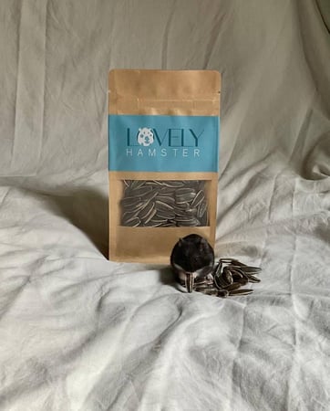 حب دوار الشمس