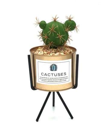 تحفة نحاسية بقاعدة ثلاثية شجرة صبار