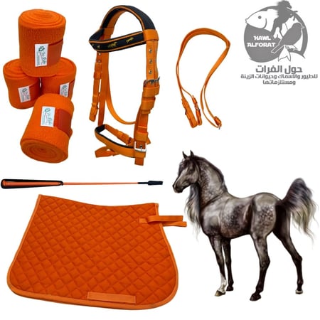 طقم راسية - حول الفرات