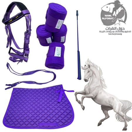 طقم راسية - حول الفرات