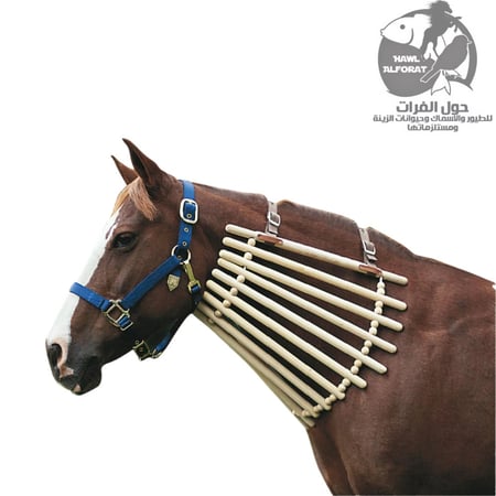 خناقة خشب للخيل - حول الفرات