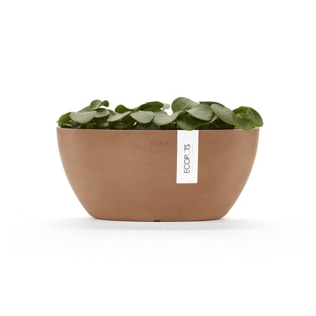 مركن إيكو بوت فايبر صوفيا ECOPOTS مقاس 43 × 25 × 17 رمادي فاتح موديل