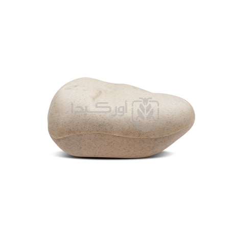 محطة طعوم صخرة لمكافحة الفئران والجرذان