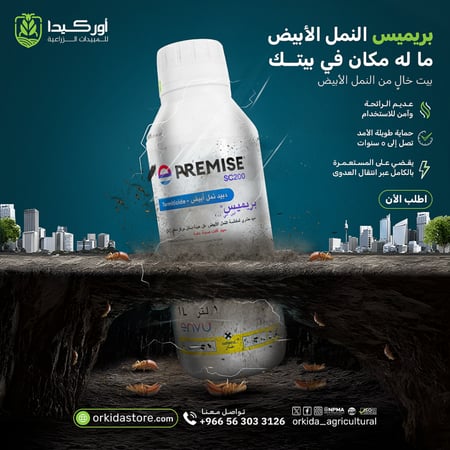 باقة أحترافية مكافحة النمل الأبيض في المنزل