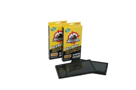 مصيدة لاصقة لمكافحة الفئران والجرذان (كوري )