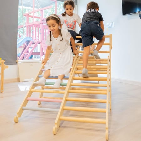 سلم التسلق (إكسسوار فقط)