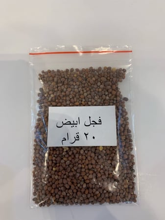 بذور فجل ابيض (20قرام)
