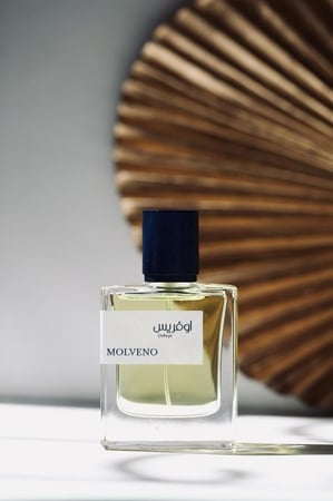مولفينو