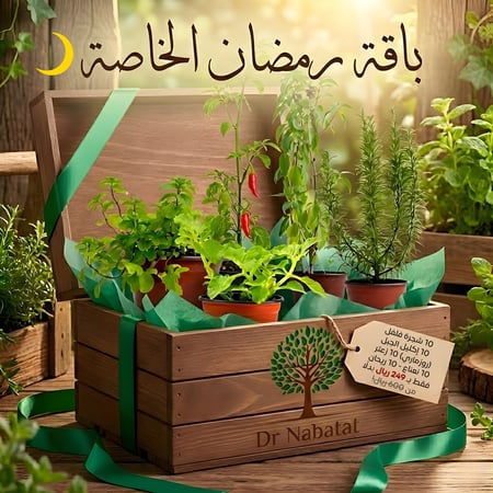 نباتات خارجيه