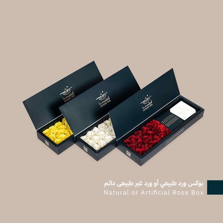 عرض الرفاهية معيار جديد للدلال والراحة بالرياض