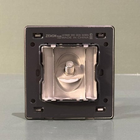 فيش دش مفرد