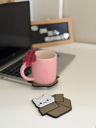 كوستر "القطة في الصندوق"