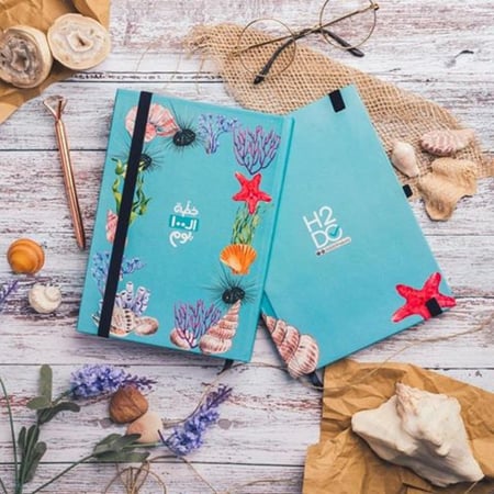 خطة ال 100 يوم | صدف مائي