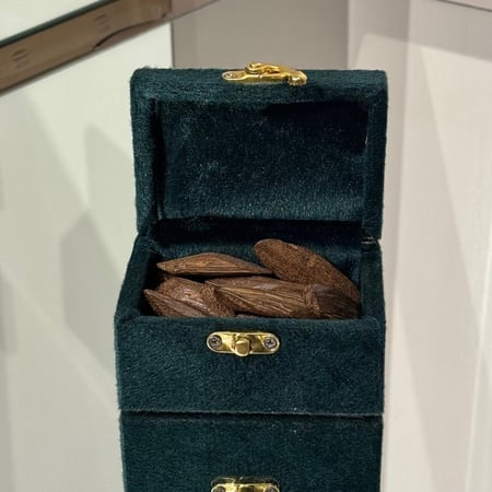 العود المروكي طبيعي محسن