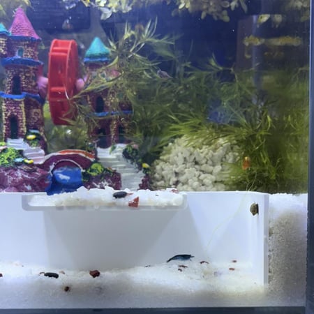 حوض نهري نانو - P23