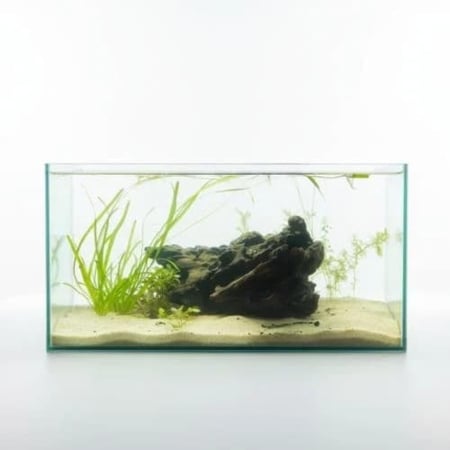 حوض نهري كلاسيك - P17