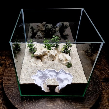 وكر دوامة الحجر