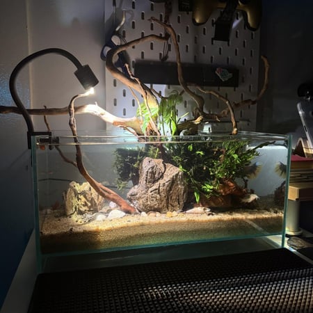 حوض نهري كلاسيك - P45