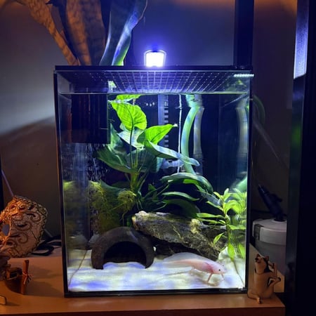 حوض نهري مكعب - P08