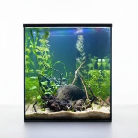 حوض نهري مكعب - P16