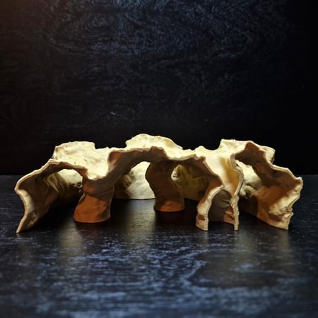 الأنفاق المتعددة