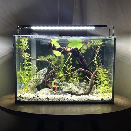 حوض نهري جاهز 13 لتر - A13