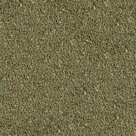 سيرا جابي جران نيتشر