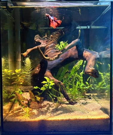 حوض نهري مكعب - P32