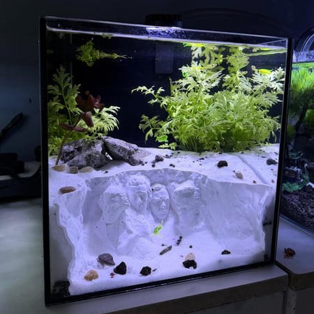 حوض نهري مكعب - P28