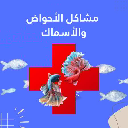 استشارة لحل مشاكل الأحواض والأسماك