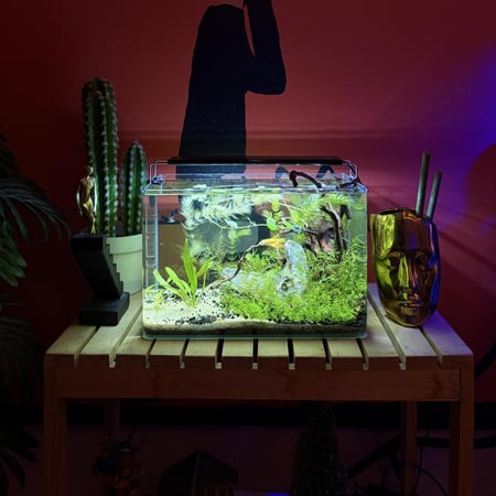 حوض نهري كلاسيك - P58