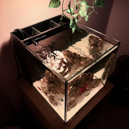 حوض نيمو بحري مكعب - M03