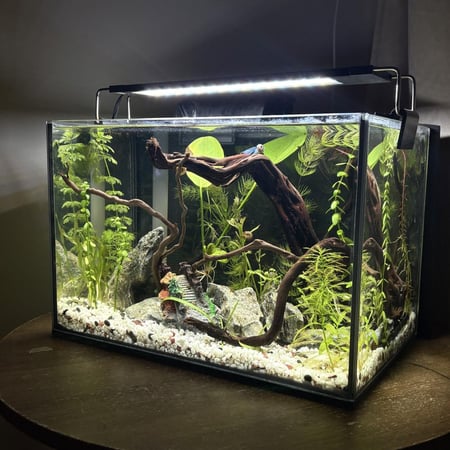 حوض نهري جاهز 13 لتر - A13