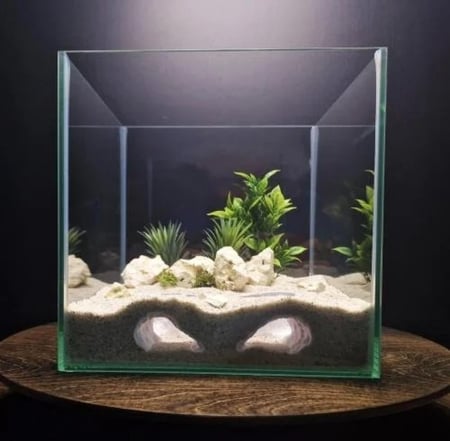 كهف عيون المحيط