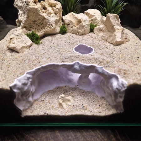 قمة أتلانتس