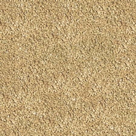 طعام سيرا للفايتر -  Sera Bettagran Natur