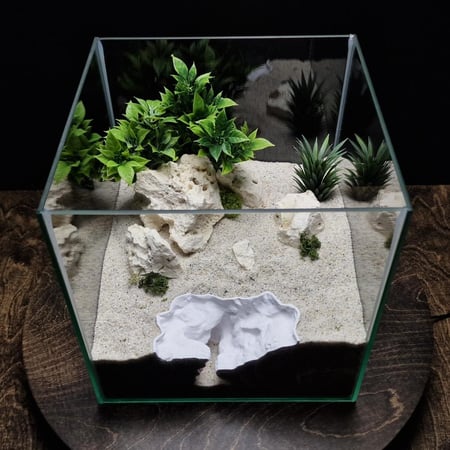 مخبأ الخشب المتحجر