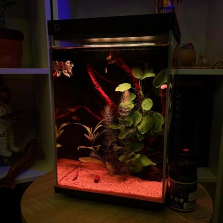 حوض نهري مكعب - P22