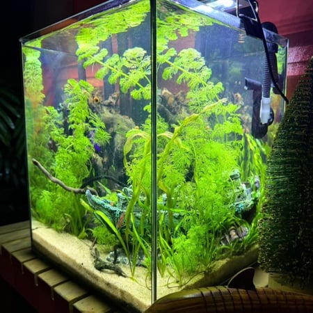 حوض نهري مكعب - P48