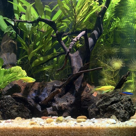 حوض نهري مكعب - P44