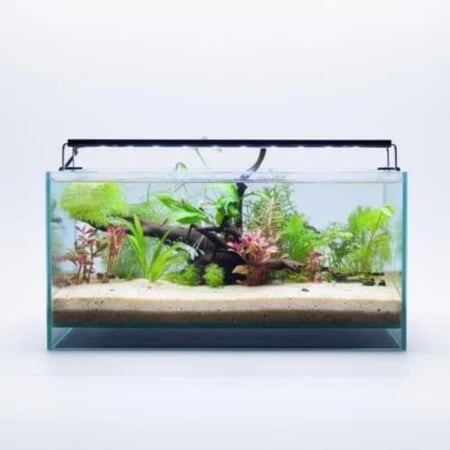 حوض نهري كلاسيك - P57